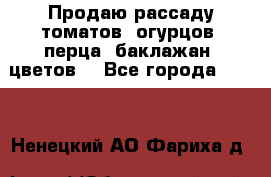 Продаю рассаду томатов, огурцов, перца, баклажан, цветов  - Все города  »    . Ненецкий АО,Фариха д.